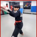 타이거합기도 | 달성군합기도 무도의 진정한 즐거움을 배우는 곳