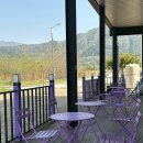 더벤티 | 더벤티x슈퍼마리오 신메뉴 굿즈 후기 ‘더벤티 전북 정읍 첨단점’