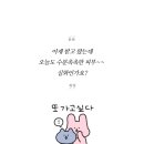 에스테라피 - 광양시 광장로 148-4 | 에스테라피