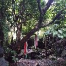 성읍1리 이미지