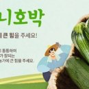 쥬키니