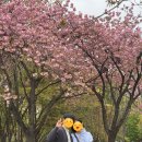 안동(상)휴게소 한식당 | [공지] [임신25주~27주까지] 임당 검사, 친정엄마 환갑, 국내태교여행