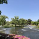 용산-이촌-1930 이미지