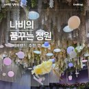 나비의 꿈꾸는 정원 에버랜드 추천코스 나비체험관