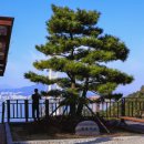 이순신대교 전망대 이미지