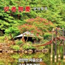 가을이 오는 길목에서 이미지
