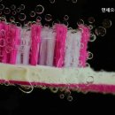 연세으뜸치과의원 이미지