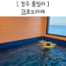 트라제5 | 감포 트라제풀빌라 경주 바다보며 아기랑 물놀이 숙소 펜션
