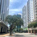 줄줄이식당 | 세부 막탄 벨몬트 호텔 후기, 18개월 아이와 0.5박 가성비 숙소, 막탄 뉴타운 접근성 굿