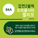 귀한손님공인중개사사무소 | 갑천2블럭 트리풀시티엘리프 사전점검 후기 84A 현장사진 매물