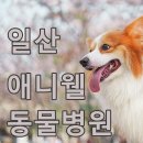 애니웰 동물병원 이미지