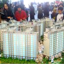 아라하우스 이미지