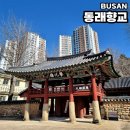 동래향교 | 부산 지정 기념물 고즈넉한 분위기의 여행 코스 동래향교 방문 후기