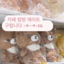 //네? 벌써 3월이라고요?ᩚ?ᩚ