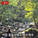 충북 충주 가볼만한곳 여름 물놀이 명소! 충주 만수계곡 주차 물놀이포인트