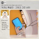 DDP 전시회 추천 키크니 특별전 서울 전시회 후기
