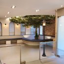 신사동물병원 이미지