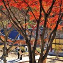 김세현과 좋은 친구들 이미지