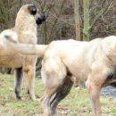 강동24시SKY 동물병원 이미지