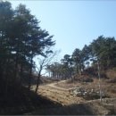 성산면-1 이미지