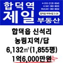 32번국도 이미지