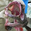 진미명가식당 이미지