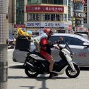 달맞이길62번길 | 부산 해운대 디저트 맛집 호랑이젤라떡 카페 후기