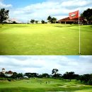 이글골프 이미지