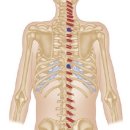 태림2 | FES 펑셔널 불가리안백 전문가 과정/태림쌤의 교육 후기(2편)