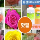 드림팜웰