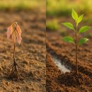 정하농장 이미지