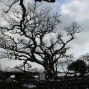 성읍승마장 이미지