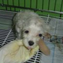 방화1동066 이미지