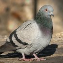 공간케어