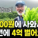 둥지농원 이미지