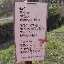 보성보리밥집