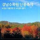 이반성면-3 | 경남수목원 단풍축제 후기, 11월 가을 나들이 명소