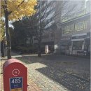 할인마트