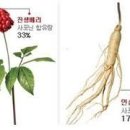 진생베리