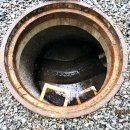 일산식당 이미지