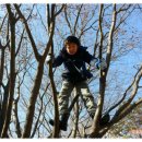 대선초교 이미지