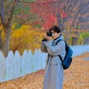 싱글스텝 이미지