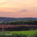 해넘이농장 이미지