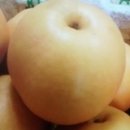 산들애농원 이미지