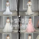 블랑드블루 | [웨딩] 누벨드블랑 촬영 가봉 피팅 셀렉 후기(슬림2, 풍성3, 유색1), 드레스 가봉 준비물 리스트