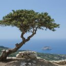 가평소나무팬션 이미지