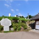 산청흑돼지 이미지