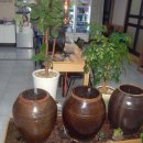 삼남매한우식당 이미지