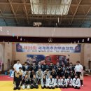 용인대 수 합기도 이미지