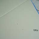 디자인크림